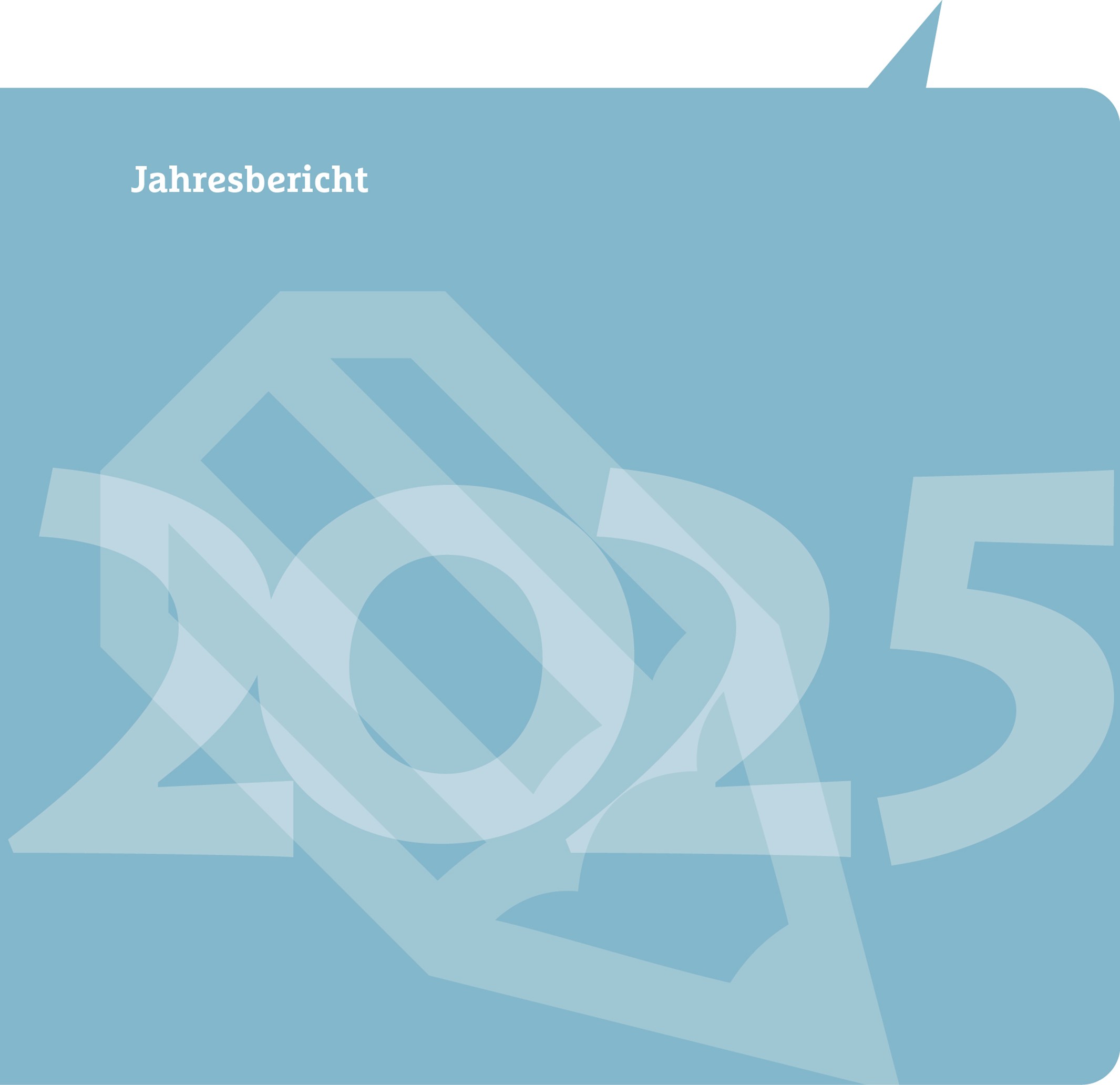 Logo Jahresbericht 2025